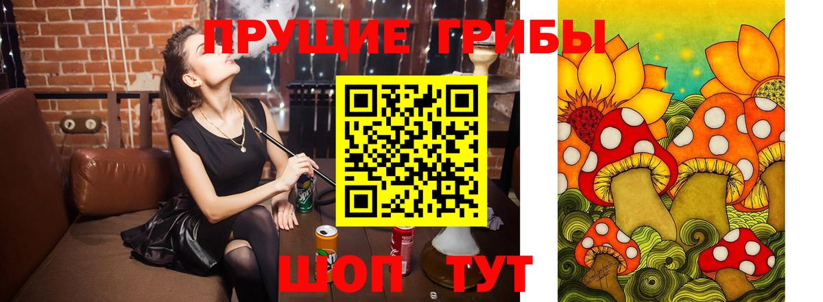 Псилоцибиновые грибы прущие грибы Луга