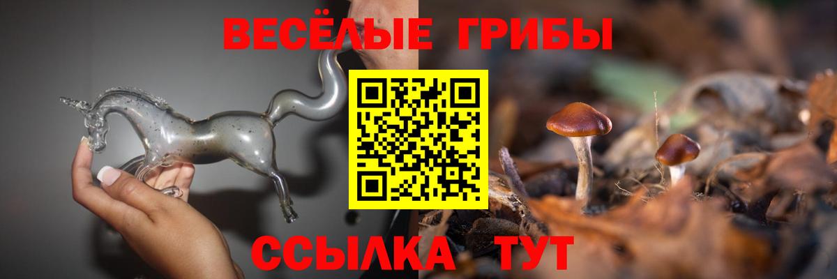 Луга  Галлюциногенные грибы Psilocybe  Вход с VPN 