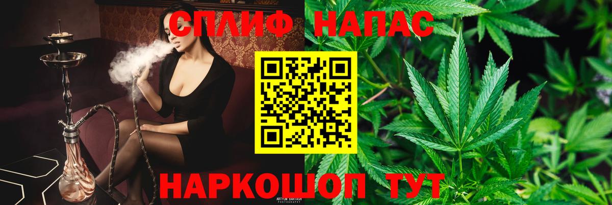 Каннабис индика Луга